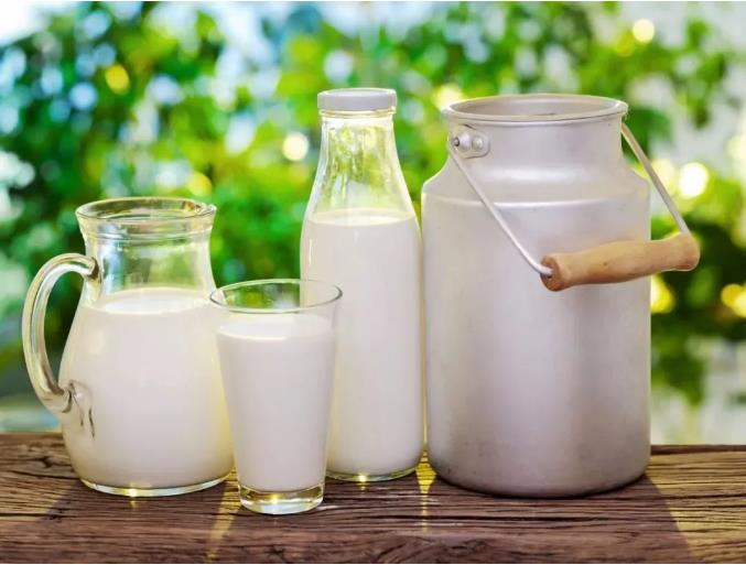 乳制品中的致病菌有哪些？如何解決致病菌超標？(圖3)